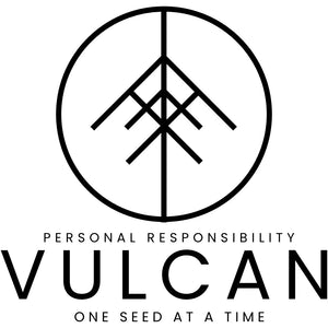 Vulcan Logo