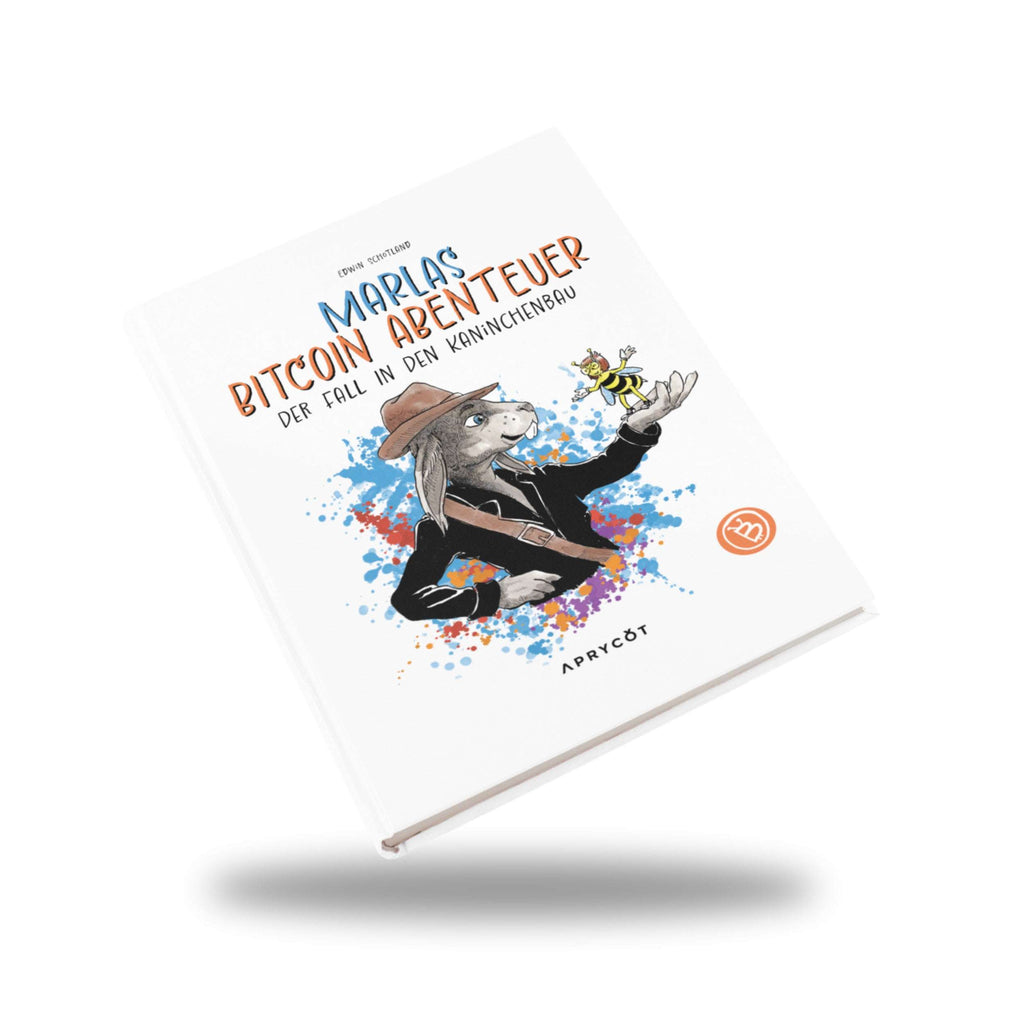 Das Buch schräg schwebend, Vorderseite sichtbar