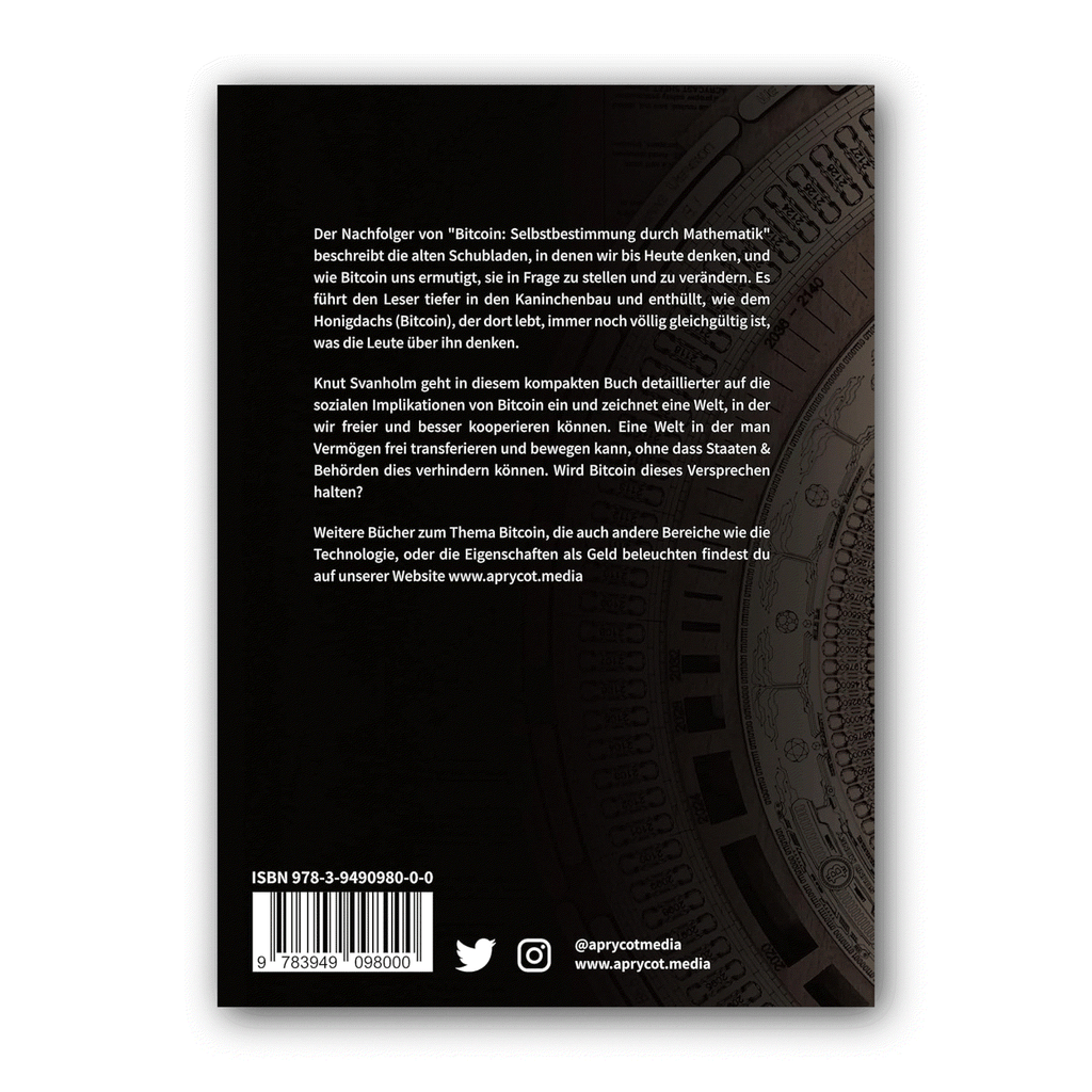 Rückseite des Buchs mit Klappentext, ISBN und Strichcode
