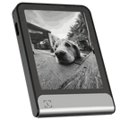 Ledger Flex zeigt ein Schwarzweißfoto eines Hundes als Bildschirmbild